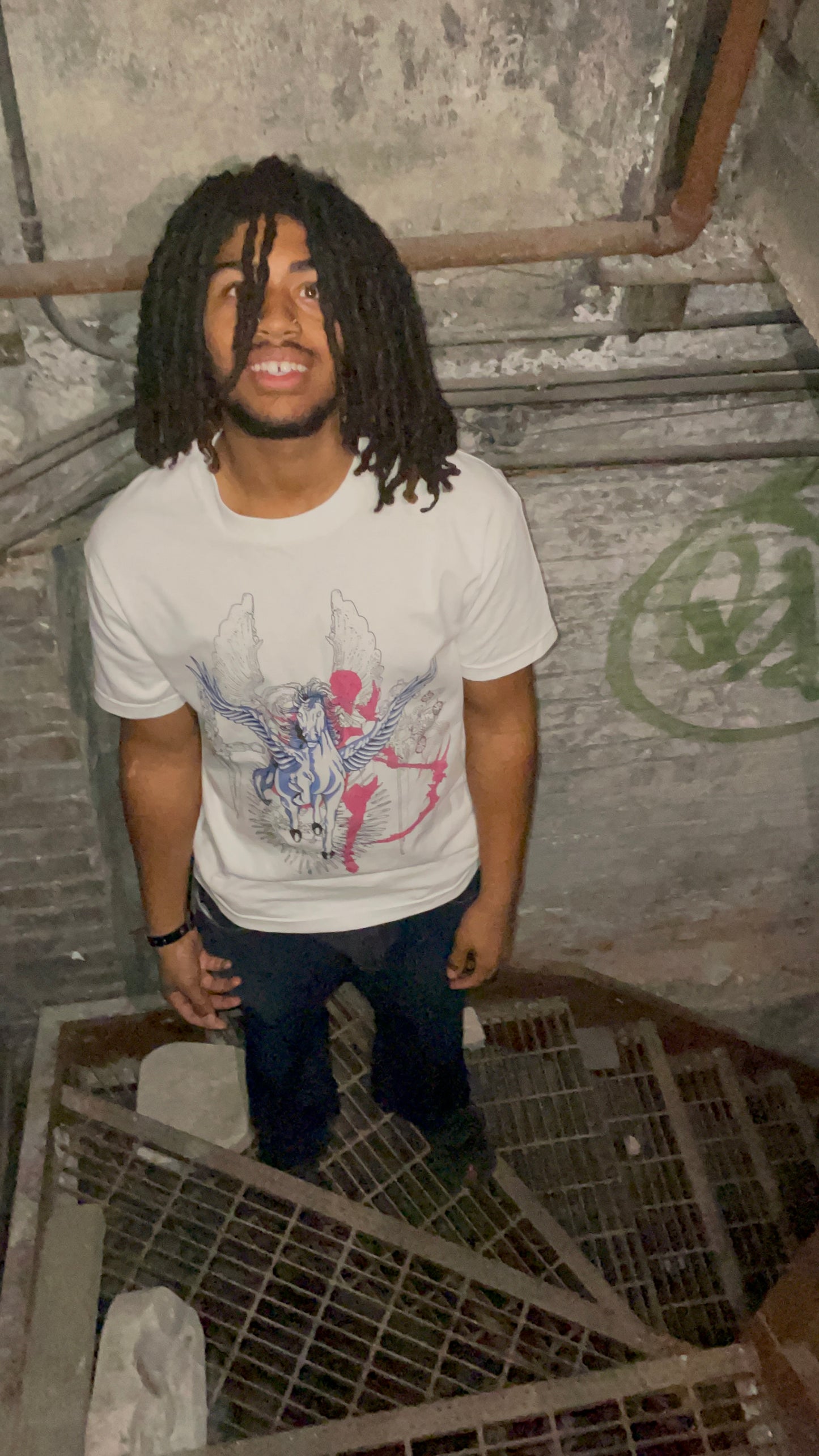 pegasus tee